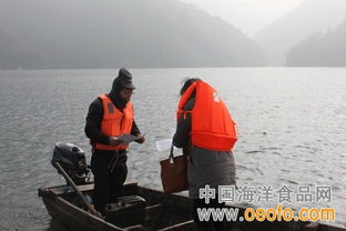 江山市多措并舉筑牢節前安全防線，守護漁業生產與市場質量雙安全